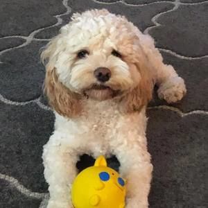 Meet your Posher, Angie